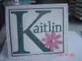 2006/10/12/Kaitlins_b-day_card_by_pinkstampergirl.jpg