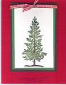 2006/09/20/Lovely_as_a_Christmas_Tree_by_DMEmomto3.jpg
