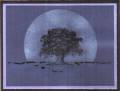 2006/10/31/Tree_Silhouette0001_by_blueheron.JPG