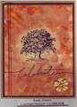 2006/12/26/Tree_with_flower_by_Stampin_Wrose.jpg