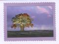 2007/08/31/Lovely_as_a_tree_in_a_storm_by_armadillo.jpg