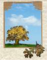 2007/08/31/Lovely_as_a_tree_in_the_Fall_by_armadillo.jpg