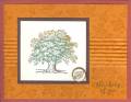 2008/04/25/Lovely_as_a_Tree_2_by_stampwithbrenda_com.jpg
