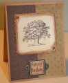 2011/04/05/Lovely_as_a_Tree_by_chendrickson.png