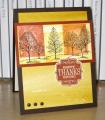 2014/10/15/Thanksgiving_Trees_SUO107_by_Christy_S_.JPG