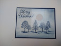 2024/12/28/Lovely_as_a_tree_by_suespms.jpg