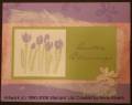 2006/02/20/EasterCard3_by_stampfan.JPG