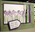 2007/03/30/Spring_card_by_ambouth.JPG