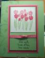 2007/04/21/Demo_Tulips_by_jacqueline.jpg