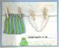 2005/04/28/Unmentionables.JPG