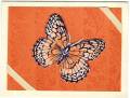2007/07/11/stipple_butterfly_for_Roxie_by_LaurieR.jpg