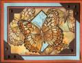 2007/08/24/Stiples_Butterfly011_by_cathymac.jpg