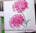 2011/07/19/Pink_Field_Flowers_Post_It_Note_Holder_bensarmom_small_by_bensarmom.jpg
