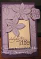2007/02/18/Delight_in_Life_Lavender_Notepad_by_WonkaIsMyCat.jpg