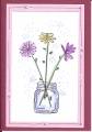 2006/04/30/Jar_of_Daisys_by_cards_by_cathey.jpg