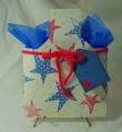 2008/02/17/TLC156_Star_Spangled_Pouch_by_Maxell.jpg
