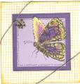 2006/07/01/LSC70D_Charmed_Butterfly_by_DawnL.jpg