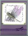 2009/06/28/Measure_of_a_Life_Dragonfly_by_Ocicat.jpg