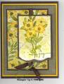 2006/06/08/Flowers_for_a_Friend_Yellow_by_Carole_Richardson.jpg
