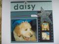 2007/07/30/Daisy_Star_page_by_curlycurlyhair.JPG