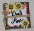 Our_Pets-2