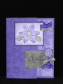 2006/05/29/Lilac_Amethyst_Birthday_by_Debra.JPG