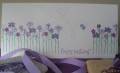 2007/05/19/purpleflowers_by_Tilly.JPG