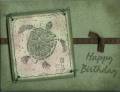 2007/10/20/dw_Nature_Prints_Turtle_Birthday_by_deb_loves_stamping.jpg