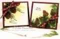 2007/12/06/KC_Pine_and_Cone_Gift_Cards_by_kittie747.jpg