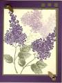 2006/05/21/lilac_cluster_by_grapeseeds.jpg