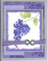 2006/05/31/lilac_and_celery_blossoms_abound_by_danssister.jpg
