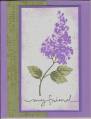2006/06/02/Lilac_Blossoms_by_cmf1216.jpg