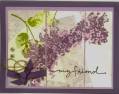 Lilacs_by_