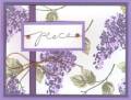 2006/08/28/peaceful_lilacs_by_janetwmarks.jpg