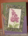 2006/09/19/cc80_framed_lilacs_by_LodiChick.png