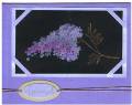 2007/06/10/Best_Blossoms_Chalkboard_by_Deborah_D_.jpg