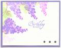 2009/01/13/Spring_Birthday_Lilacs_by_Superglew.jpg