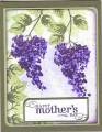 2009/04/22/Blossoms_Abound_Mother_200_by_Kathy_LeDonne.jpg