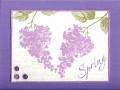 2009/06/10/Spring_Lilacs_by_Ocicat.jpg