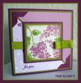 2011/03/14/Lilacs_Card_Front_by_FubsyRuth.jpg