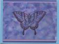 2005/03/12/2650Polished_Stone_Butterfly.jpg