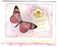 2005/03/28/Final_Filigree_Butterfly.jpg