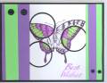 2005/10/27/green_purple_butterfly_by_randomstamper.jpg