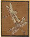 2006/03/23/bleached_dragonflies_by_paperquilter.jpg