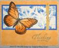 2006/05/29/mms_apricot_wings_by_lacyquilter.jpg