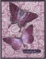 2006/07/24/Butterfly_Wishes_by_stampinkristy.jpg
