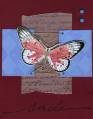 2006/07/24/butterfly_smiles_by_codepink.jpg