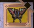 2007/04/06/Cotton_s_Rainbow_Butterfly_on_Gold_scan0003_by_cottonwoodlindy.jpg