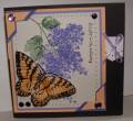 2008/08/21/Butterfly_Bush_1_by_stamps4sanity.JPG