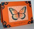 2008/12/30/SCSNYE02_mms_butterfly_by_lacyquilter.jpg